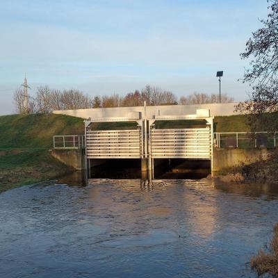 DWM Control